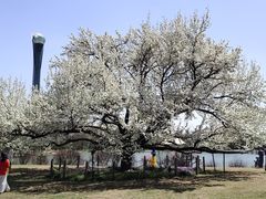 -沈阳植物园