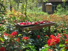 -中国科学院西双版纳热带植物园