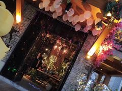 -春风十里音乐餐吧(四会店)
