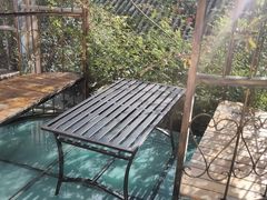 -喵屿·大理花园猫咖