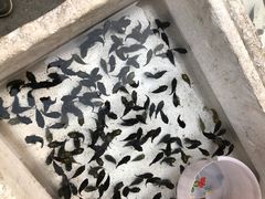 -华声天桥民俗文化园