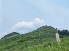-灵山