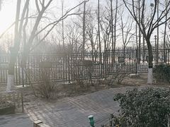 -大兴滨河森林公园