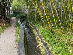 -水绘园