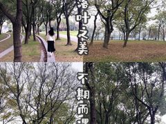 -蠡湖大桥公园