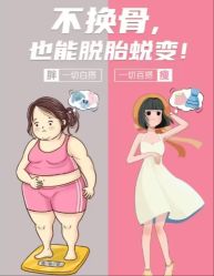 -Fundi张玉珊修身堂·indiba·BTL科技瘦身