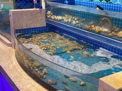 水产区-乔哥铭洋海鲜自助(皇城恒隆广场店)