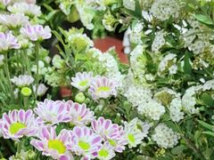 -何兮花店·气球派对鲜花店(马桥银春路万科城店)