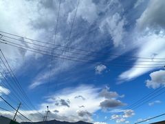 -苏家坨柳林村二月兰花海