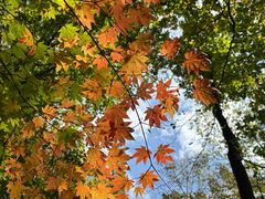 -五女峰国家森林公园