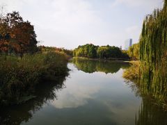 -尚贤河湿地