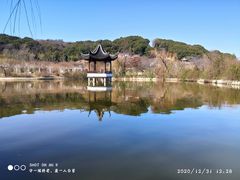 -苏州上方山国家森林公园