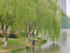 -九里河湿地公园