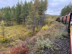 -莫尔道嘎国家森林公园