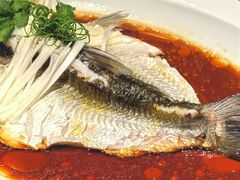 -宁波柏悦酒店·钱湖渔港