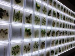 -广东中医药博物馆