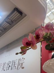 -禾丽康美医疗美容医院