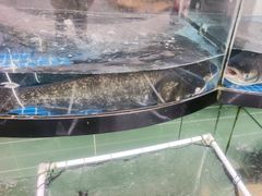 -淳安二十八道·新派民间菜·淳鱼馆(阳光路店)