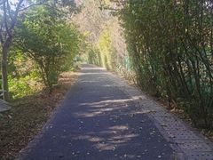-华侨城湿地公园