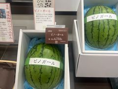 -阪急百货店(梅田总店)