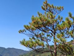 -五女峰国家森林公园