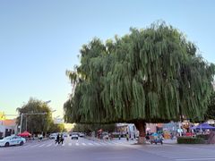 -特克斯八卦城