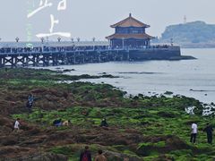 -栈桥景区