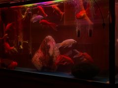 -無名记忆Music Bar夜景怀旧酒吧