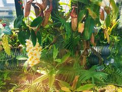 -国家植物园南园