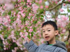 -西安华清御汤酒店