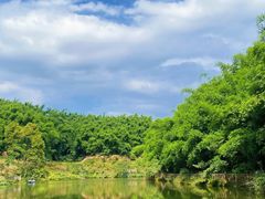 -沐川竹海旅游景区