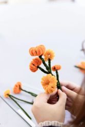 -海豚湾高端月子会所(黄浦店)