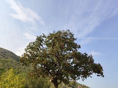 -封龙山风景区
