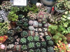 -三旗百汇商品城