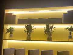 -梵猫·新养生(加州广场店)