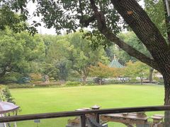 -申粤轩酒楼·三十年粤菜经典(丁香花园店)