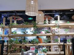 -椰夫人·养生椰子鸡(金沙洲永旺店)