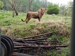 -西安秦岭野生动物园