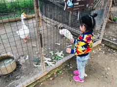 -意大利农场度假村