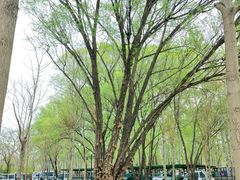 -东郊湿地公园