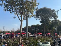 -雪绒花路停车场