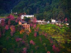 -无量山自然风景保护区