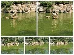 -北京动物园