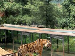 -云南野生动物园