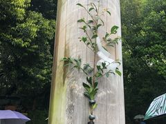 -热田神宫