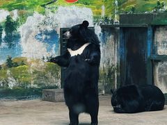 -鄂尔多斯野生动物园