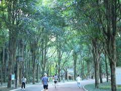 -南宁南湖公园