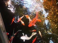 -聚缘堂·海鲜私房菜(松岭路店)