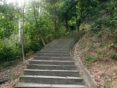 -火炉山森林公园