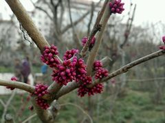 -经纬广场